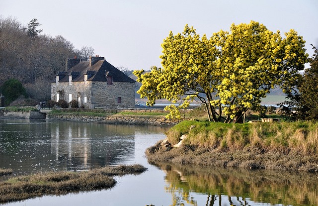 Maison en pierre bretonne au bord de l'eau