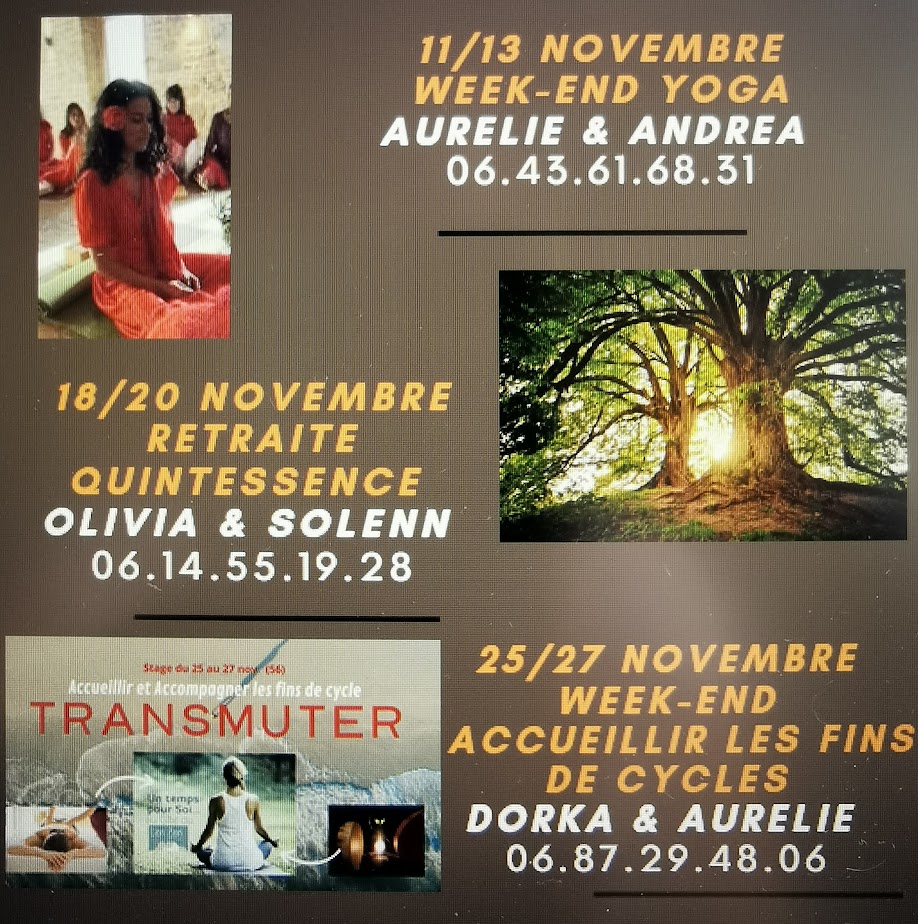 You are currently viewing CALENDRIER DES STAGES – SUITE NOVEMBRE